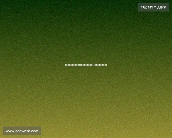 曼城一夜连发四大官宣 京多安转会费内巴切 多纳鲁马加盟引关注